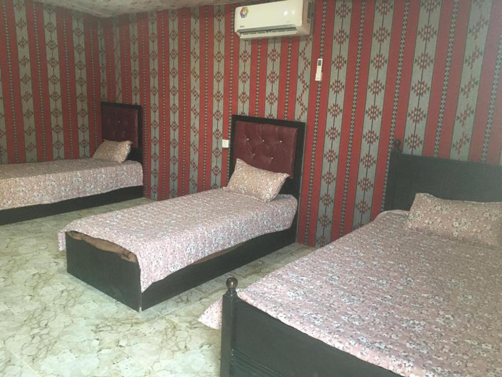 Oryx Camp Hotel Wadi Rum Exterior foto